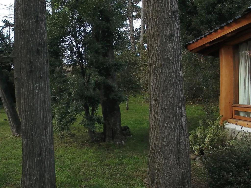 Hotel Htl La Malinka Bariloche Zewnętrze zdjęcie